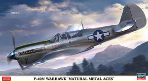 1/48 Hasegawa P-40N Warhawk 'Natural Metal Aces' 07516