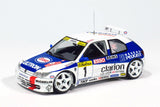 1/24 NuNu / Platz PEUGEOT 306 MAXI 1996 Monte Carlo Rally, Vehicle 24009