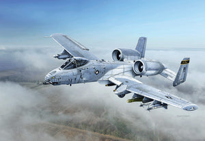 1/48 Italeri A-10C "BLACKSNAKES"