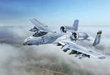 1/48 Italeri A-10C "BLACKSNAKES"