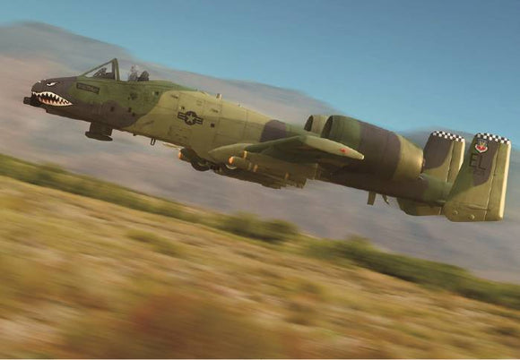 1/48 Hobby Boss A-10A Warthog 