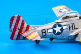 1/48 Eduard WWII P51D-10 USAF Fighter (Profi-Pack) 82102
