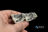 1/48 Quinta Studio F-14D 3D-Printed Interior (for Tamiya kit) 48070
