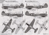1/48 Hasegawa P-40E WARHAWK